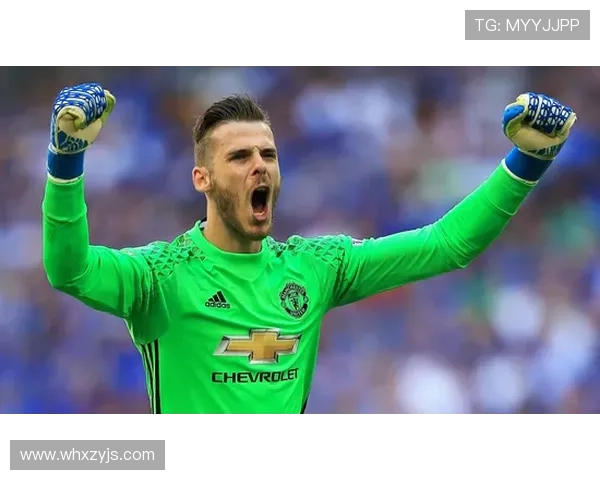 19号球衣的足球明星们及其辉煌成就盘点